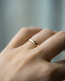 Ring No. 2